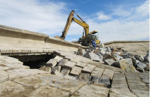 Ninh Thuận gia cố các đoạn đê kè bị sạt lở do mưa bão 